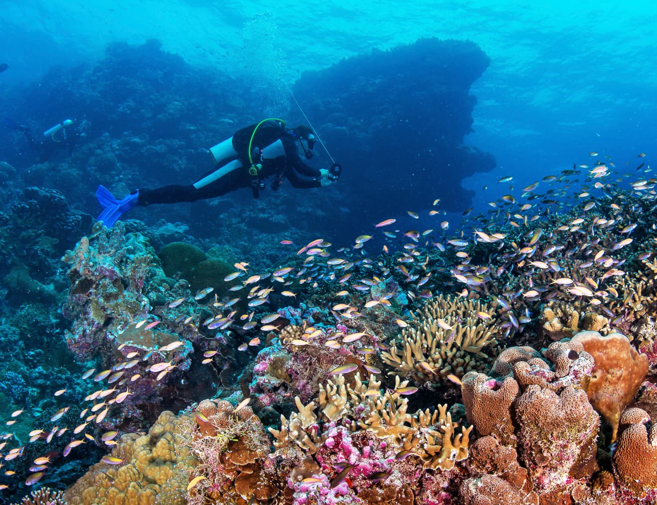 cosmoledo scuba diving