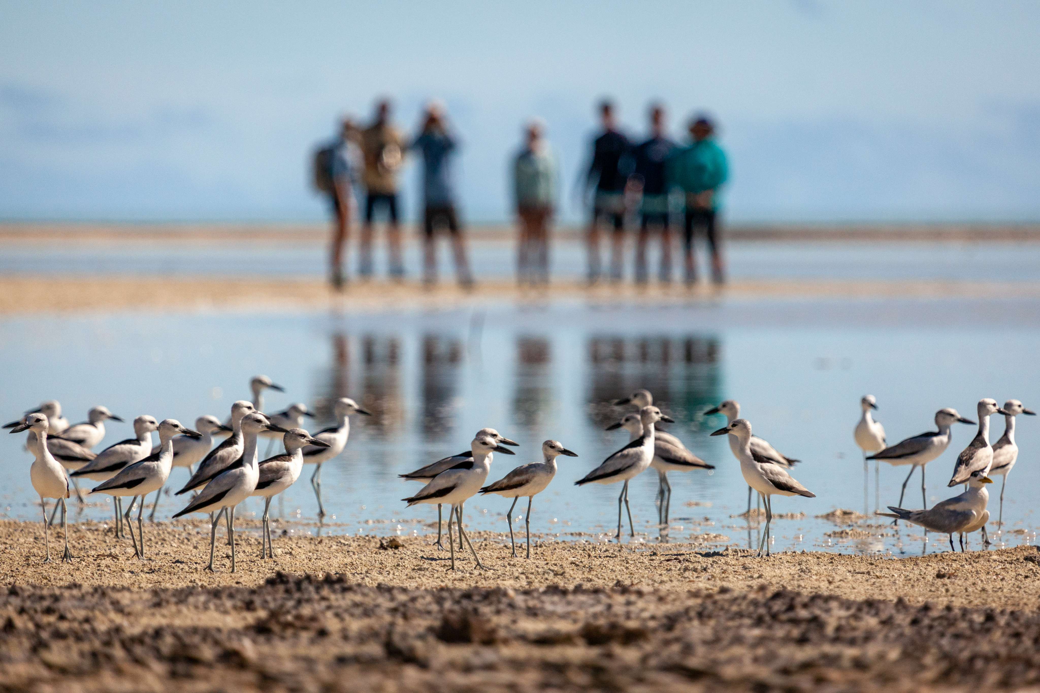 Sustainability Banner