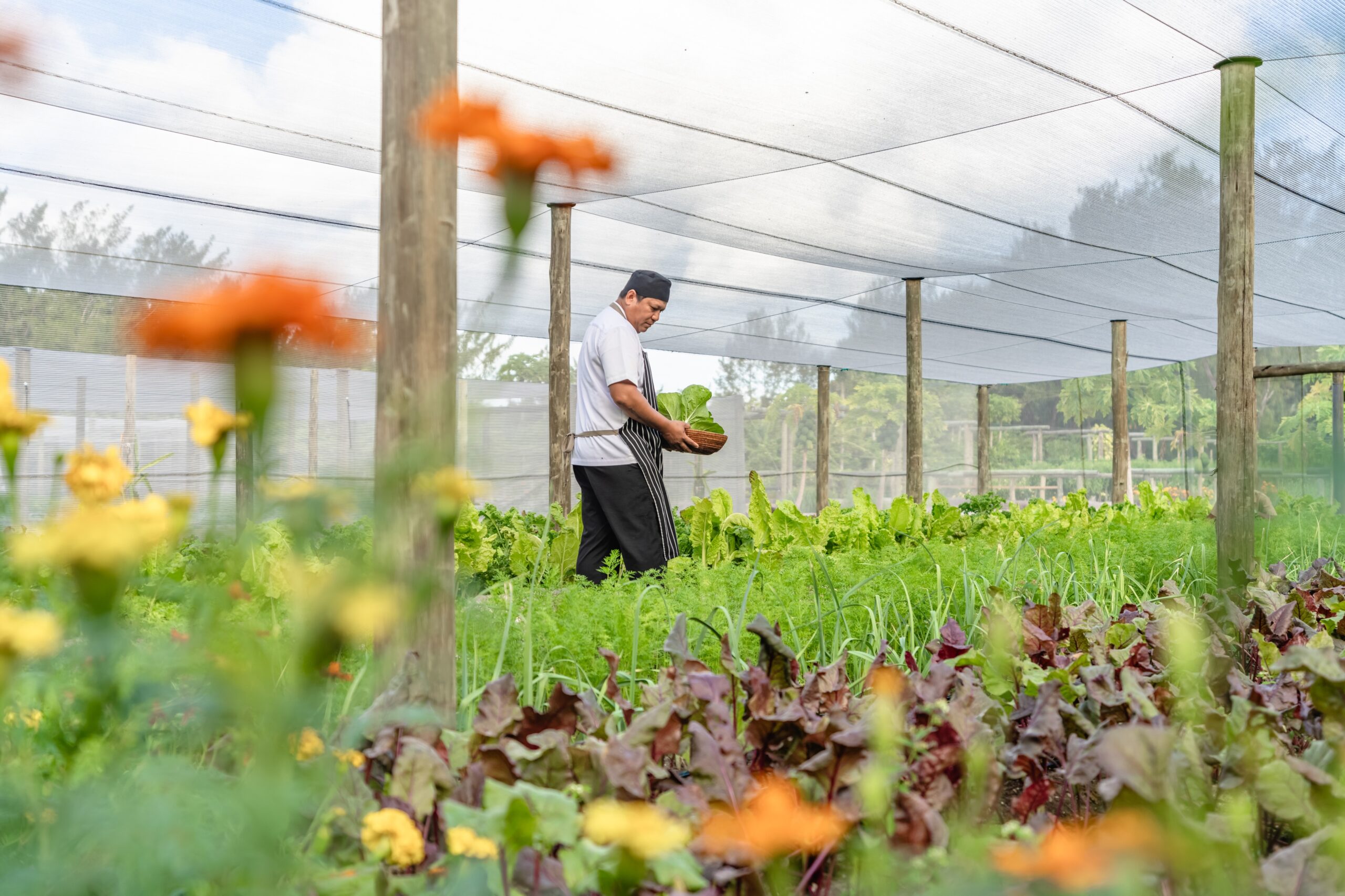 Alphonse Island Wins the ATTA® Zero Waste Trailblazer Award