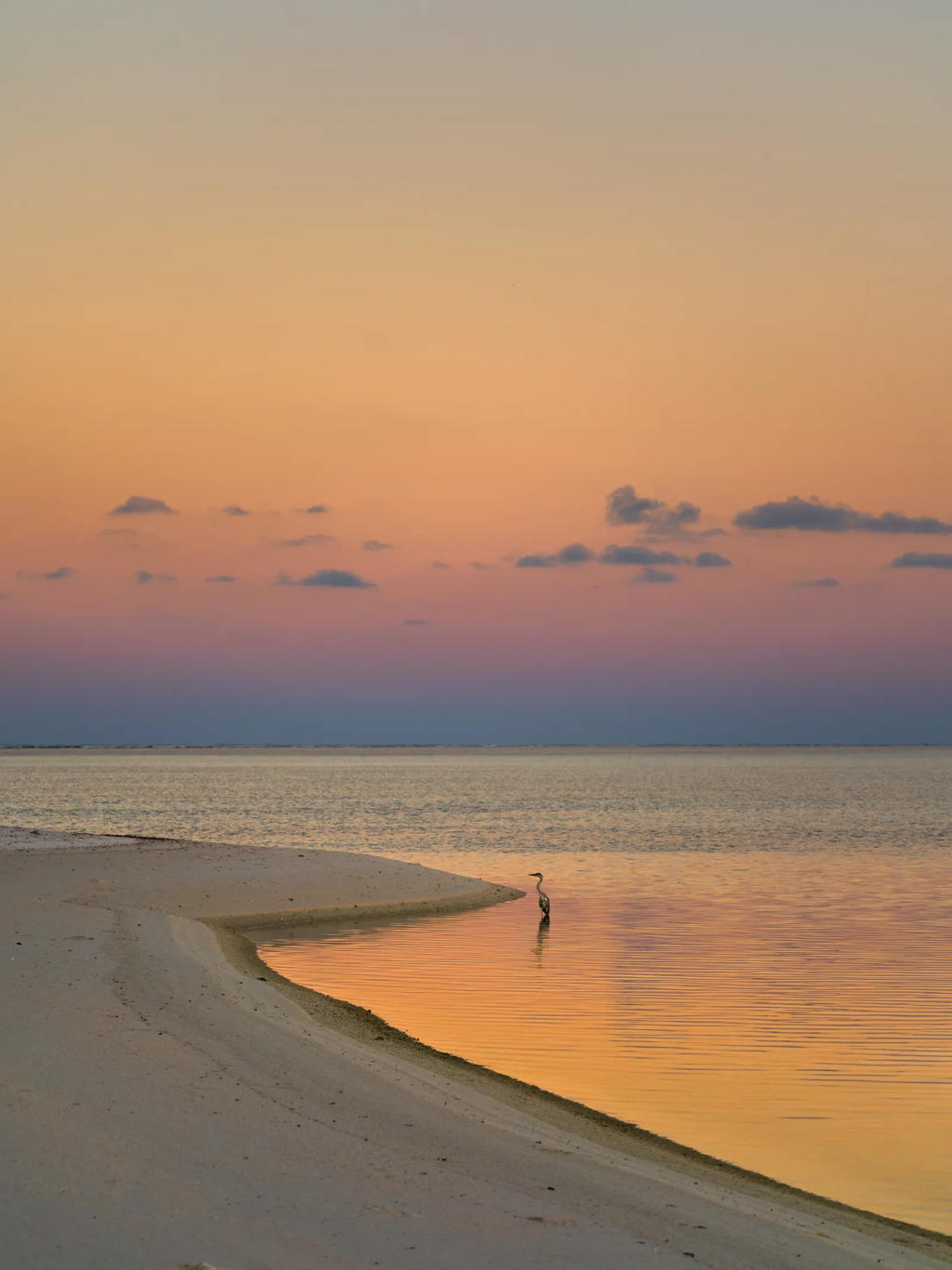 Exploring Seychelles’ Outer Islands – Some of Earth’s Last Truly Wild Places