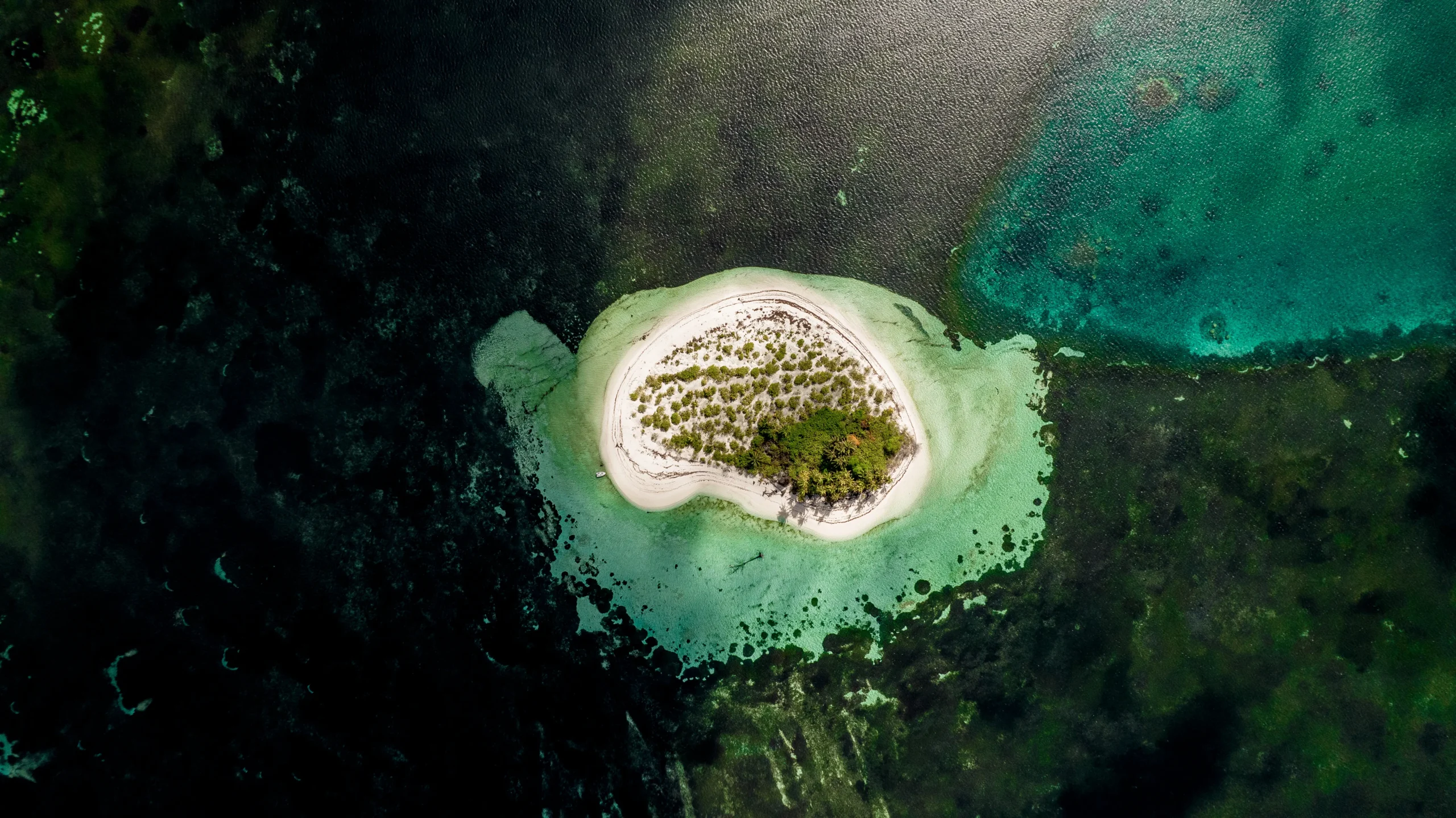 Exploring Seychelles’ Outer Islands – Some of Earth’s Last Truly Wild Places