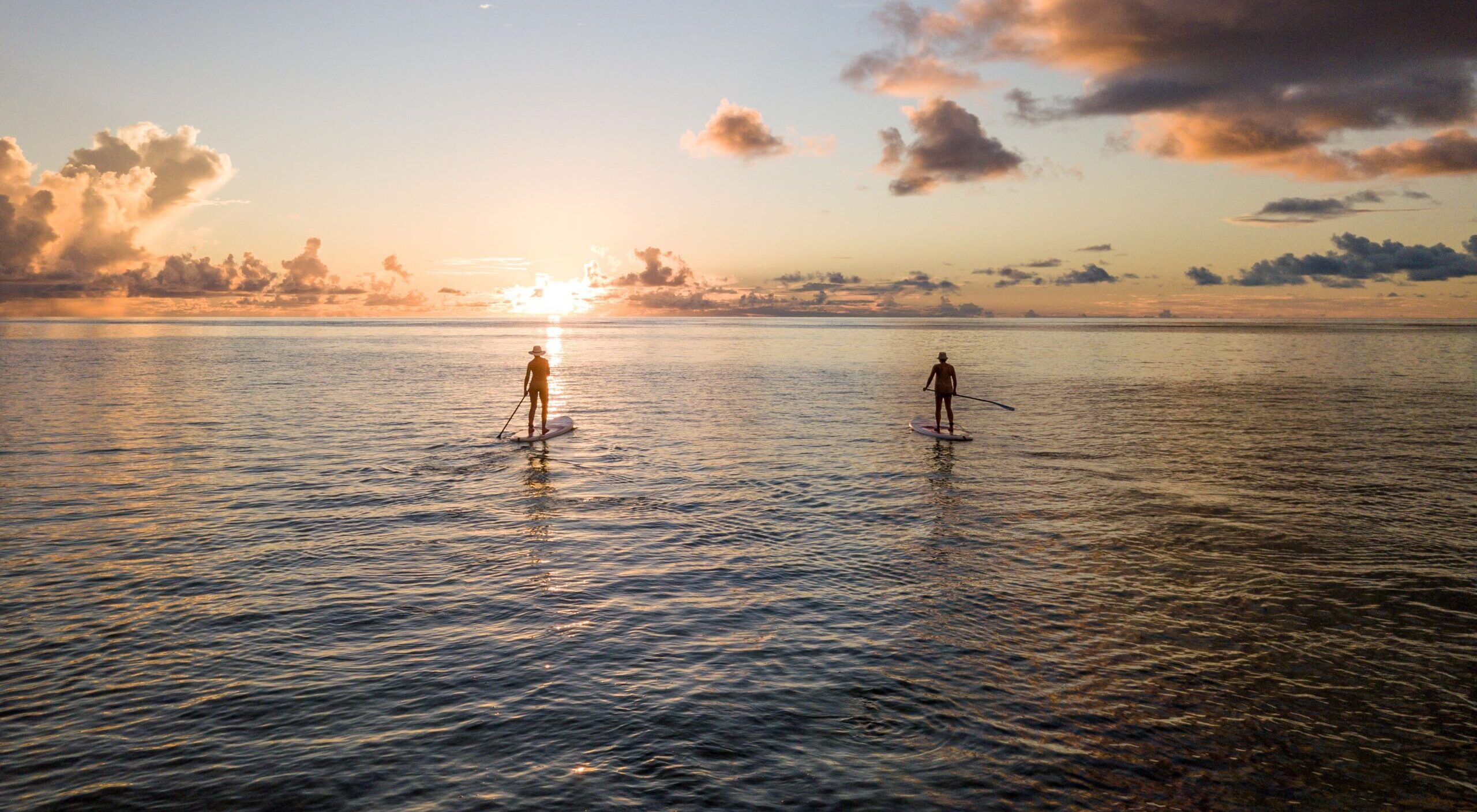 Introducing the Island Season (Shoulder Season) on Alphonse Island